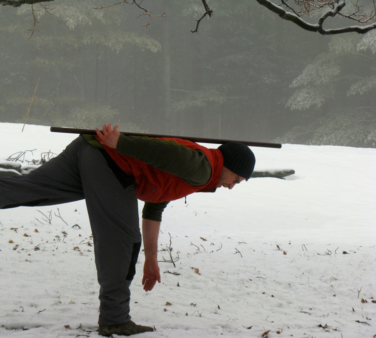 Integrative Conditioning: The Heron Pose – Balance and Spinal Alignment ...